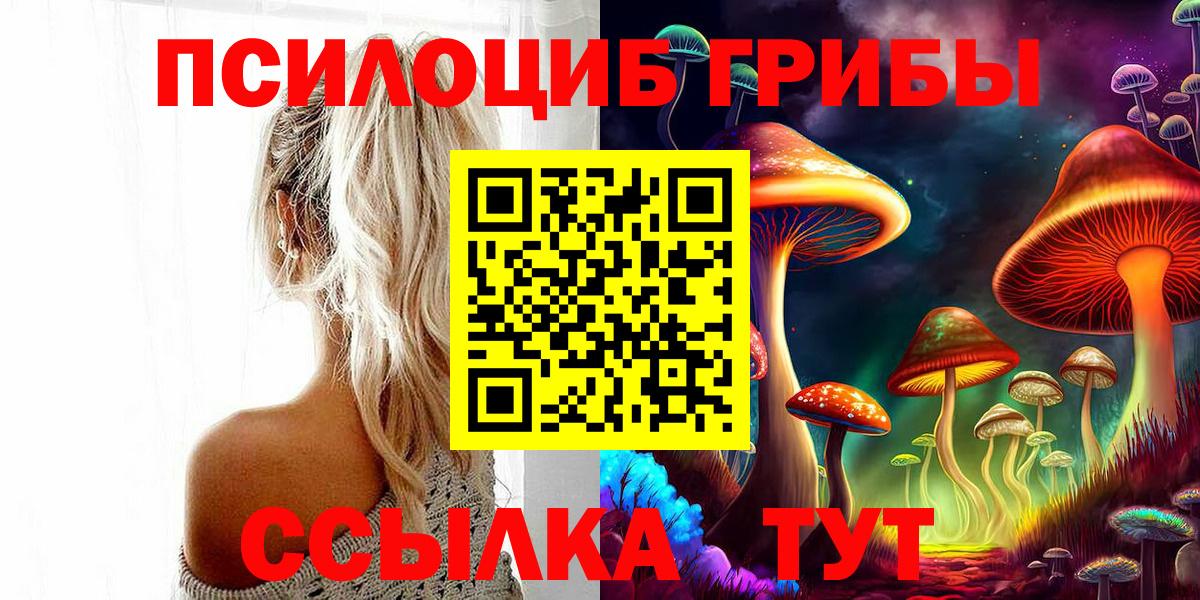 Псилоцибиновые грибы Cubensis Похвистнево