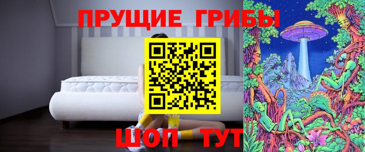 Похвистнево  Псилоцибиновые грибы мицелий  Вход с VPN 